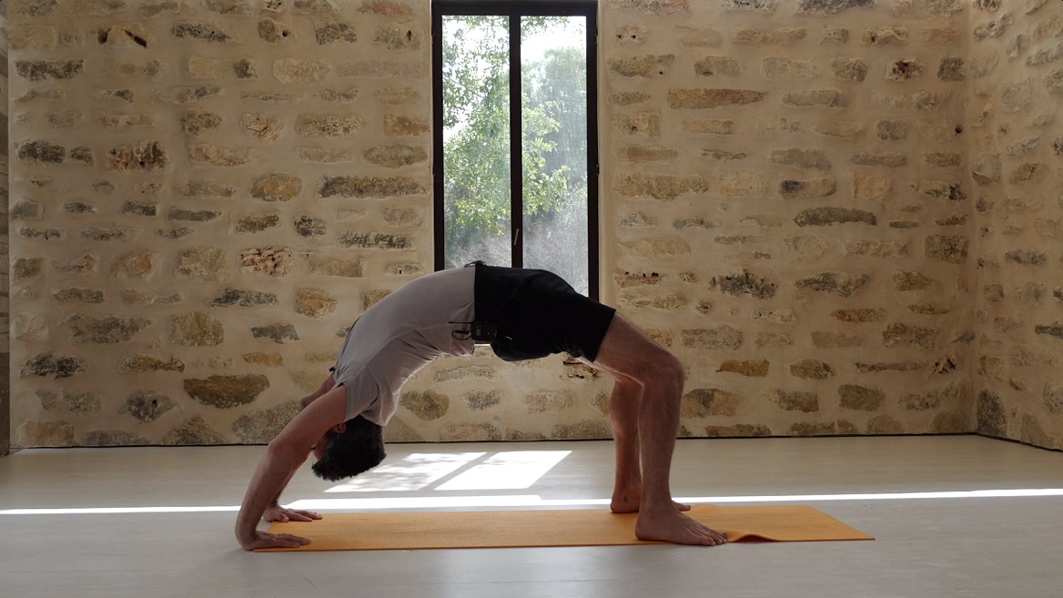 להעיר את הגב- אימון ויג'נאנה של כפיפות לאחור